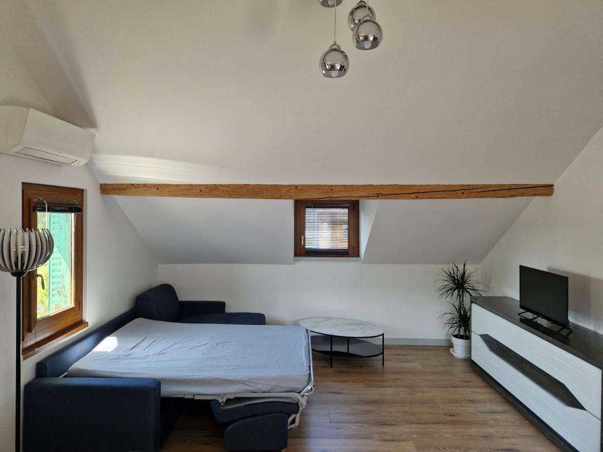 Appartement F2 A 1Mn Du Lac Publier Eksteriør bilde